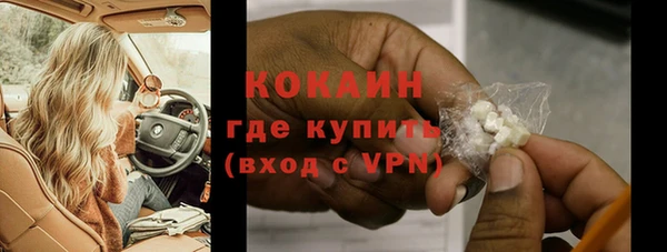 сатива Краснослободск