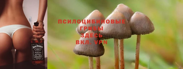 сатива Краснослободск