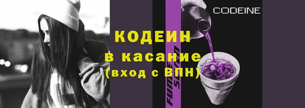 сатива Краснослободск