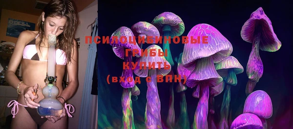 сатива Краснослободск