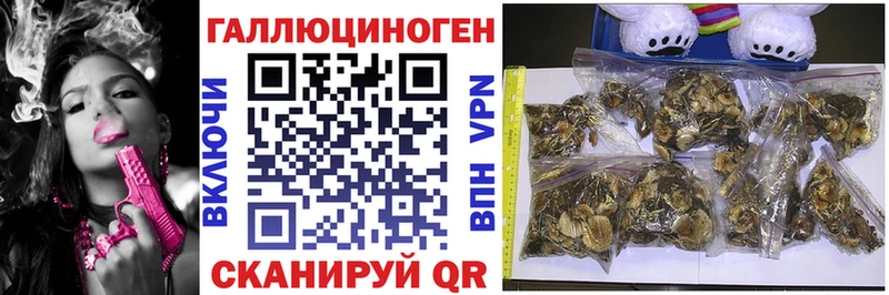 продажа наркотиков  MEGA tor  Псилоцибиновые грибы Psilocybe  Михайловка 